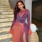 Women's Lightweight Sheer High-Low Skirt Round Neck Ruffled Long Sleeve Dress - Image 6