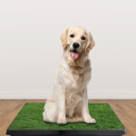 1Pc Dog Potty Training Artificial Grass Pad Pet Cat Toilet Trainer Mat Puppy Loo Tray Turf For Small Medium Dogs Indoor Outdoor Use - Image 7